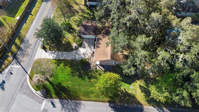bird's eye view
