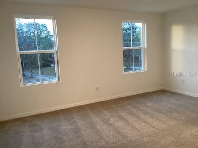 unfurnished room with carpet flooring