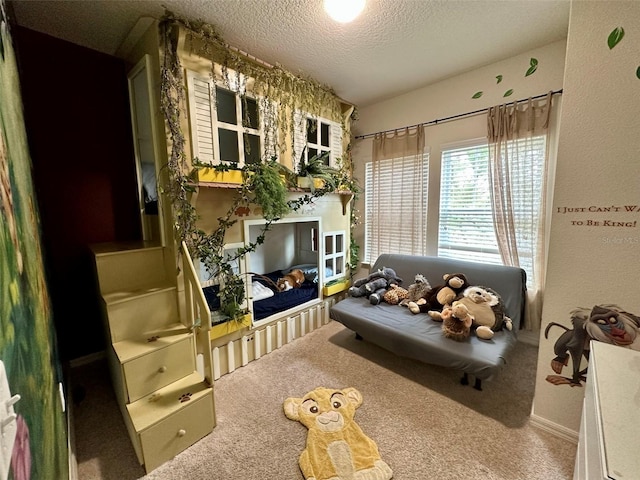 living room featuring carpet and a textured ceiling