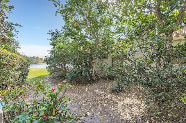 view of yard featuring a water view