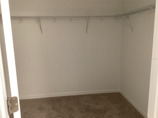 spacious closet featuring dark carpet