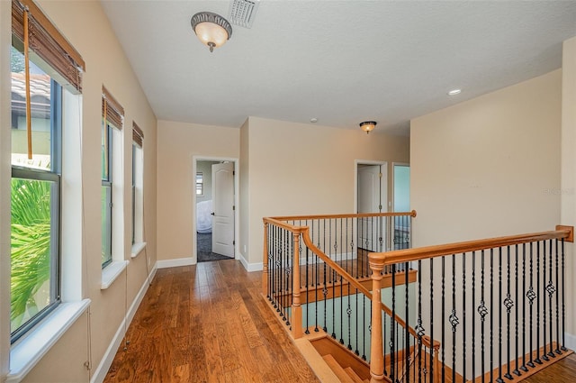 hall with hardwood / wood-style flooring and a wealth of natural light