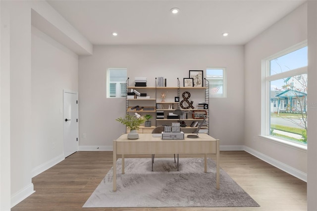 office featuring wood-type flooring