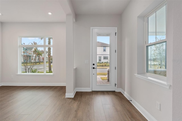 doorway to outside featuring hardwood / wood-style flooring and a healthy amount of sunlight