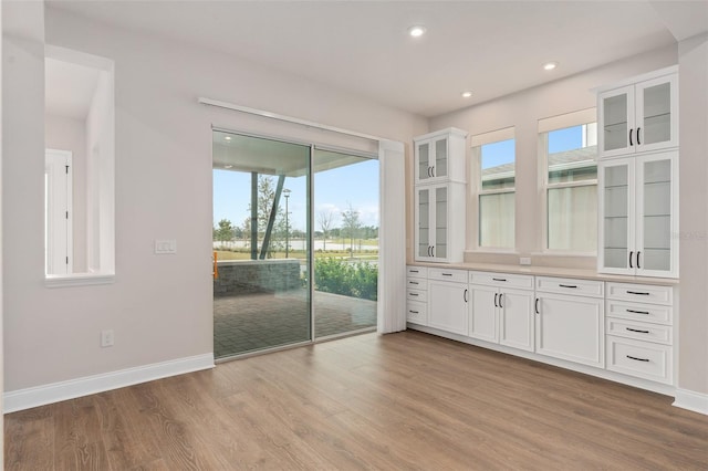 interior space featuring light hardwood / wood-style floors and a healthy amount of sunlight