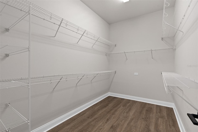 walk in closet featuring dark hardwood / wood-style flooring