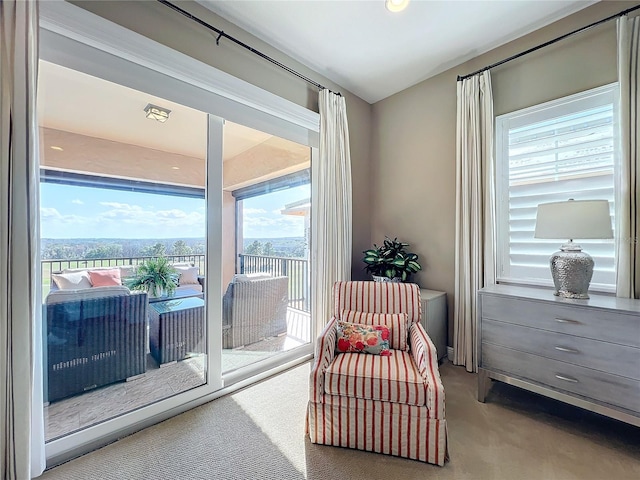 sitting room with carpet