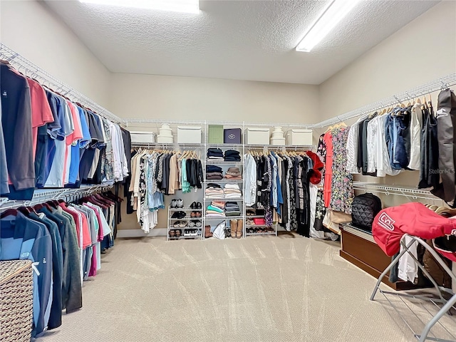 walk in closet featuring light carpet