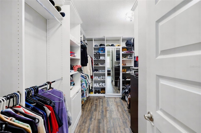 walk in closet with dark hardwood / wood-style floors