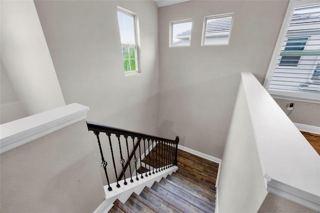 staircase with hardwood / wood-style flooring