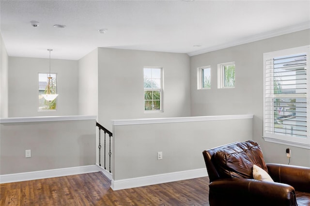 sitting room with dark wood-type flooring