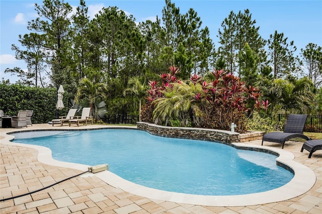 view of pool with a patio