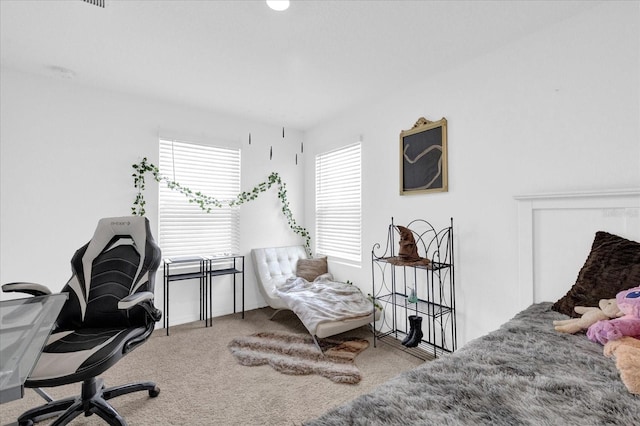 bedroom with carpet