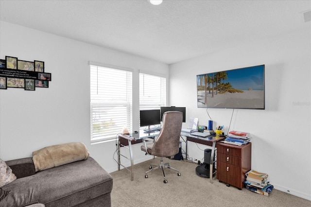 carpeted office space featuring a wealth of natural light