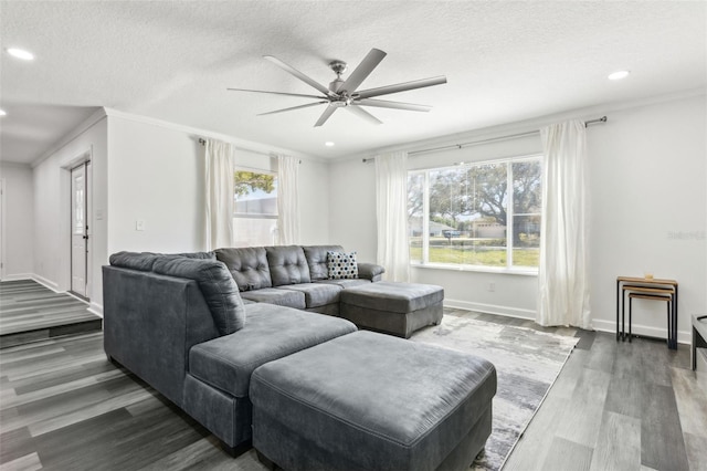 living area with dark wood-style floors, a wealth of natural light, a textured ceiling, and baseboards