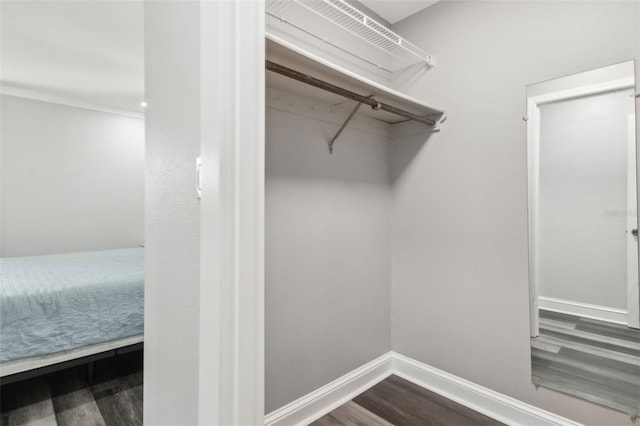 walk in closet with dark wood finished floors