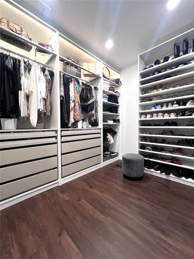 526 First Cape Coral Dr, Winter Garden, FL 34787 - walk in closet with hardwood / wood-style floors