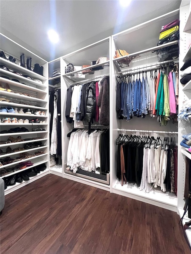 526 First Cape Coral Dr, Winter Garden, FL 34787 - spacious closet with hardwood / wood-style flooring