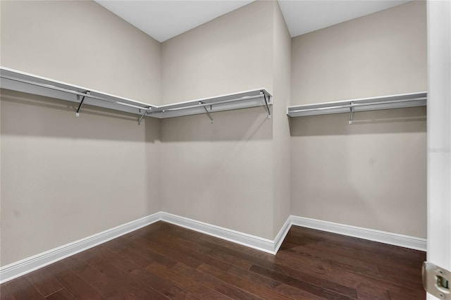 spacious closet featuring dark hardwood / wood-style flooring