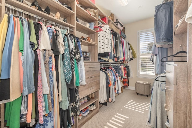 walk in closet with light colored carpet