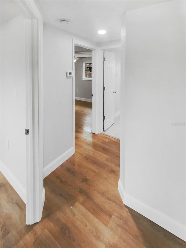 hallway featuring hardwood / wood-style floors