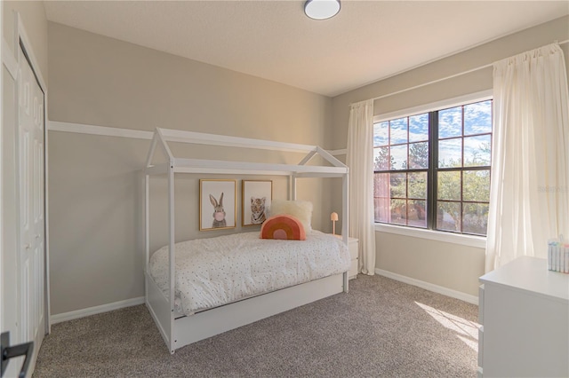 bedroom with carpet flooring and a closet