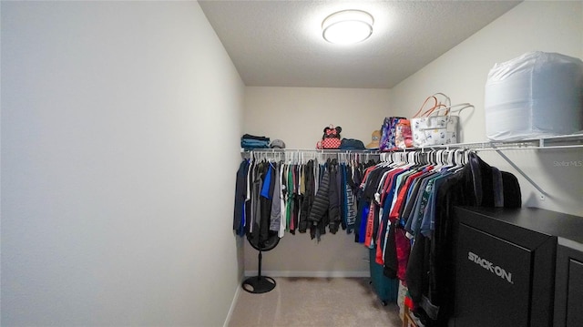 walk in closet featuring carpet floors