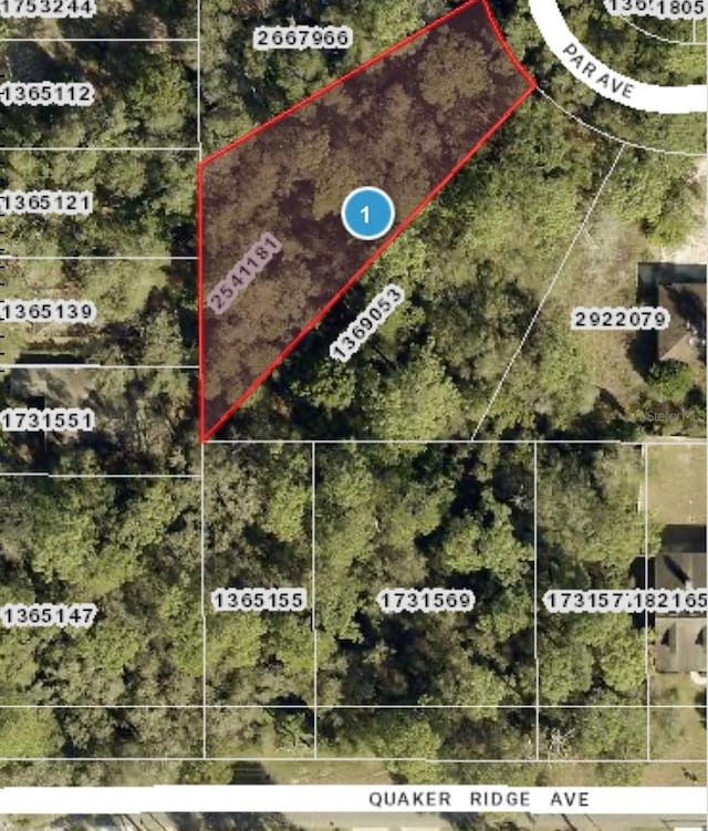 Par Ave, Sorrento FL, 32776 land for sale