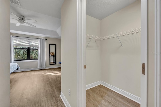 interior space featuring ceiling fan and light wood-type flooring