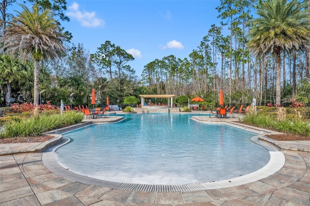 view of pool with a patio area