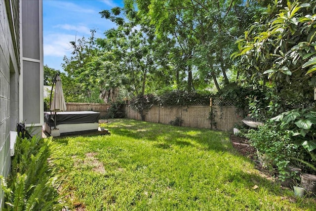 view of yard with a hot tub