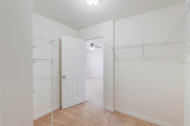 walk in closet featuring light colored carpet