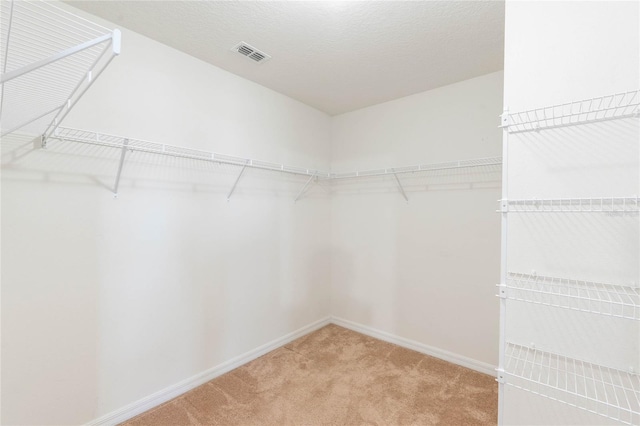 walk in closet featuring carpet flooring