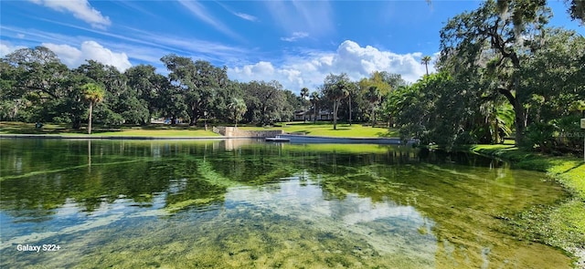 view of water feature