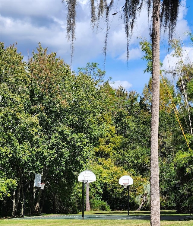 view of basketball court