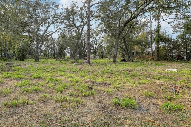 1726 Wakulla Way, Orlando, FL 32839