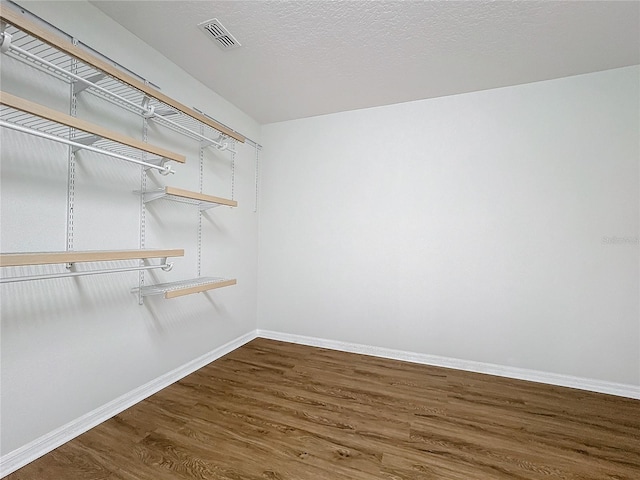 spacious closet featuring wood-type flooring