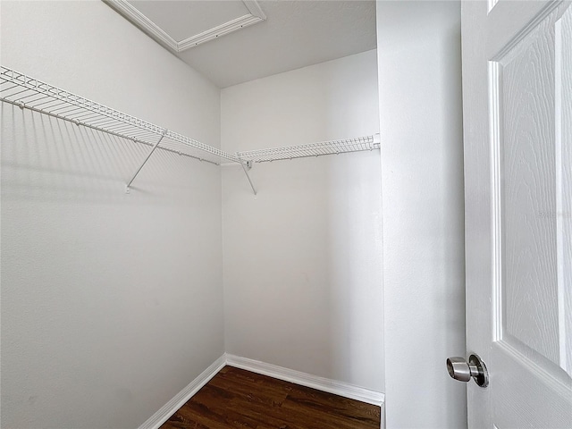 walk in closet featuring dark hardwood / wood-style flooring