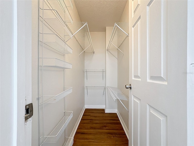 spacious closet with dark hardwood / wood-style flooring