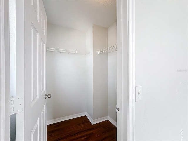 spacious closet featuring dark hardwood / wood-style floors