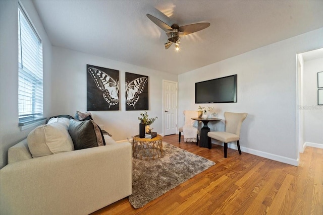 living room featuring ceiling fan and hardwood / wood-style floors