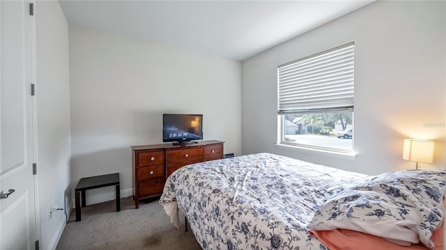 bedroom featuring carpet