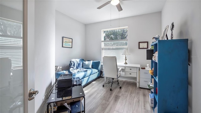 office space with ceiling fan and light wood-type flooring