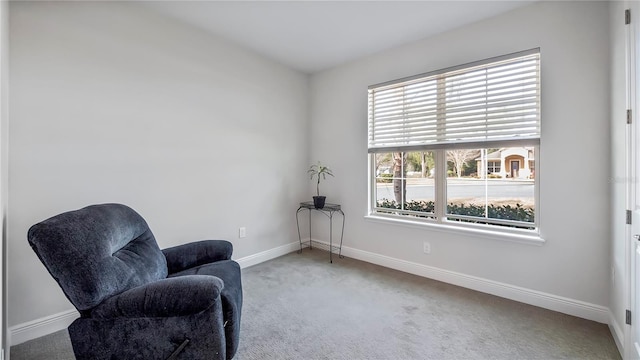 sitting room with carpet flooring