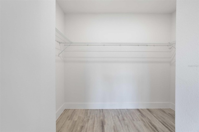 spacious closet with light hardwood / wood-style flooring