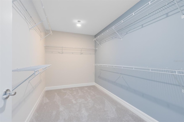 spacious closet featuring light carpet