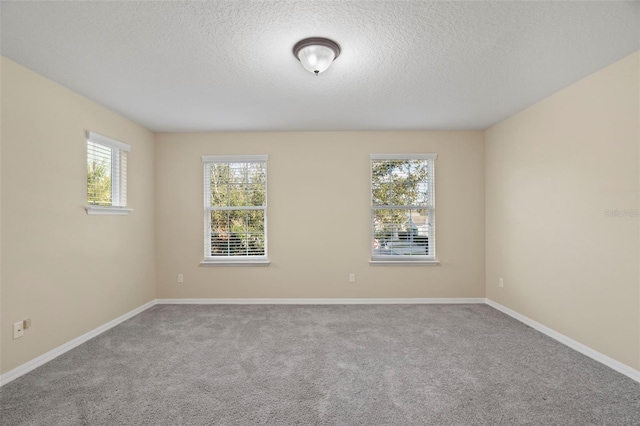 empty room with carpet and a textured ceiling