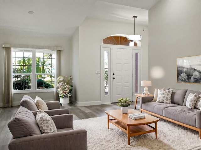 living room featuring wood-type flooring