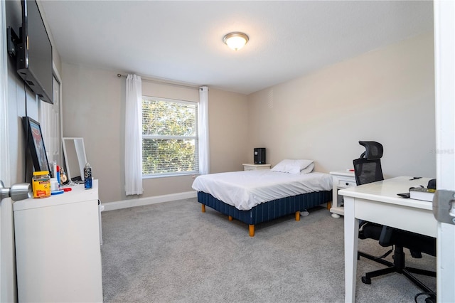 bedroom featuring carpet