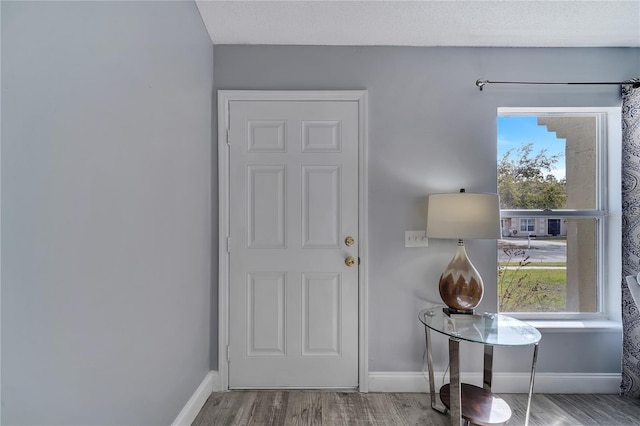 foyer entrance with baseboards and wood finished floors